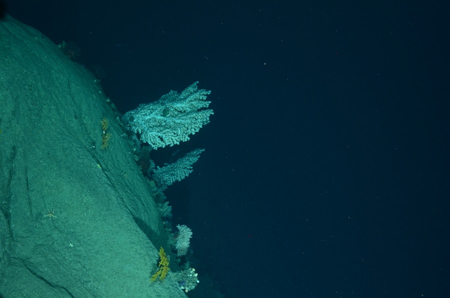 deep sea mining