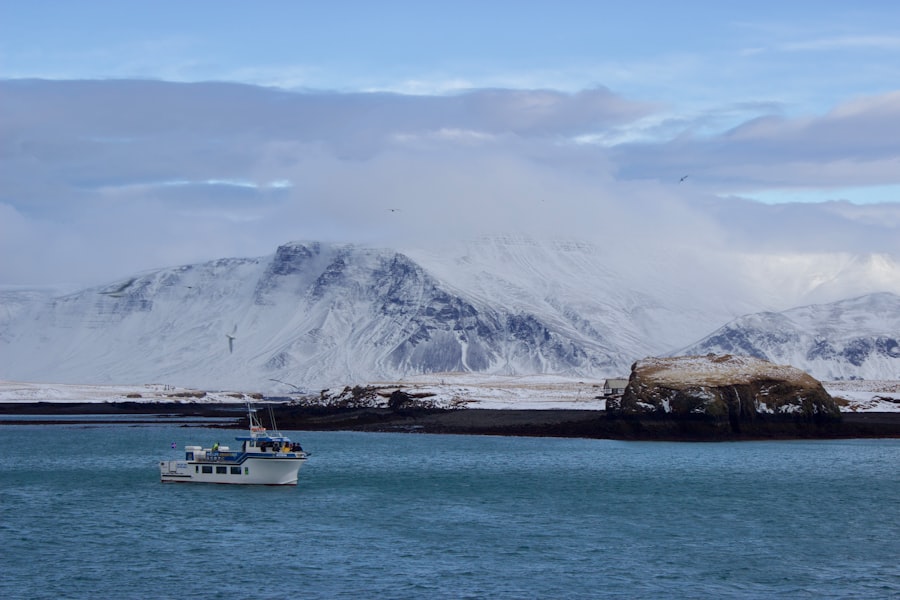 military presence Arctic