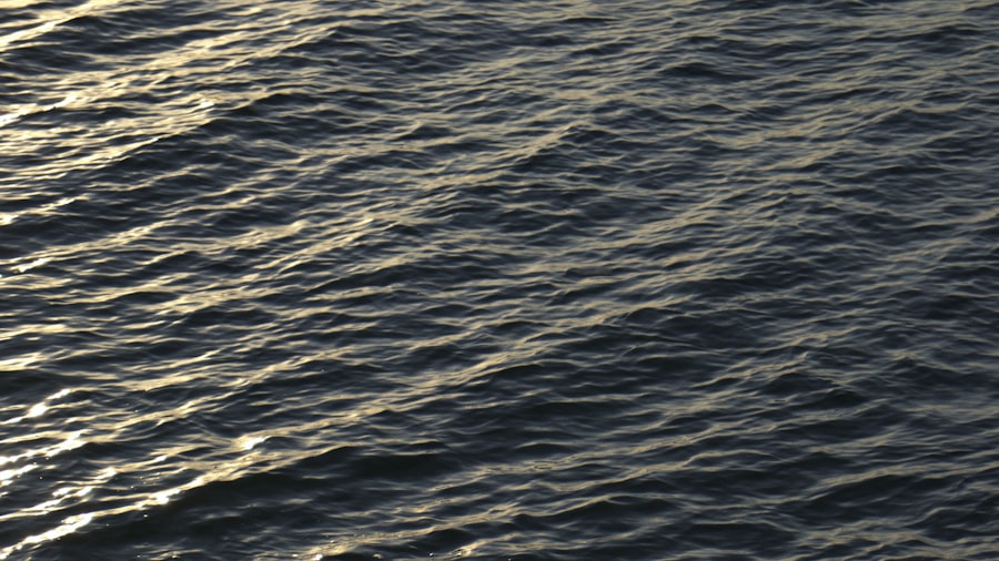 international seabed