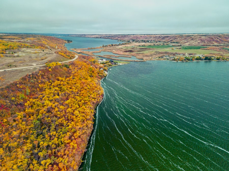 great lakes water quality agreement goals