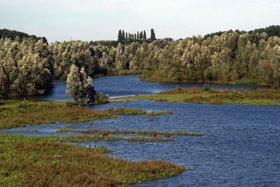 wetlands restoration