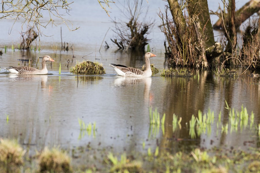 flood risk management strategies