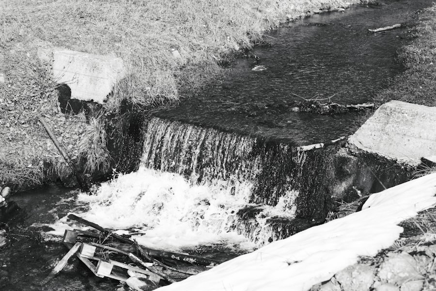 dam removal