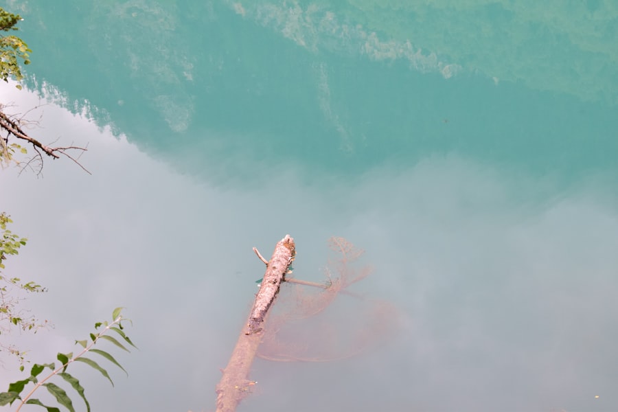three gorges dam collapse