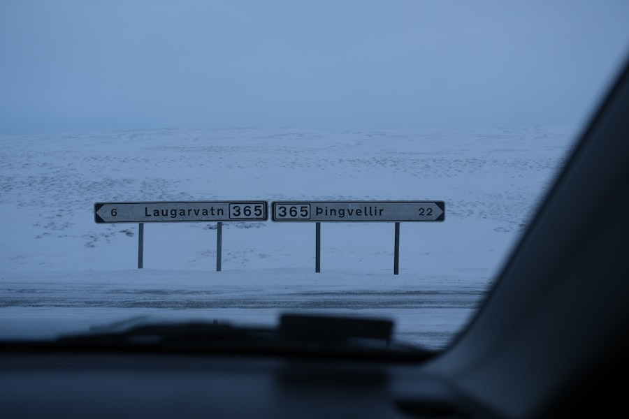 northern sea route control