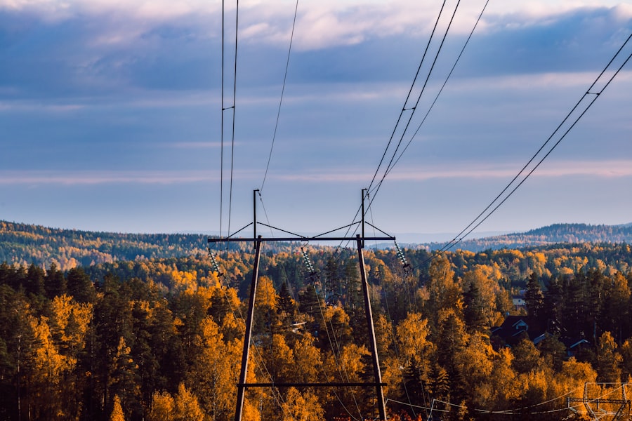 power grid policy reform