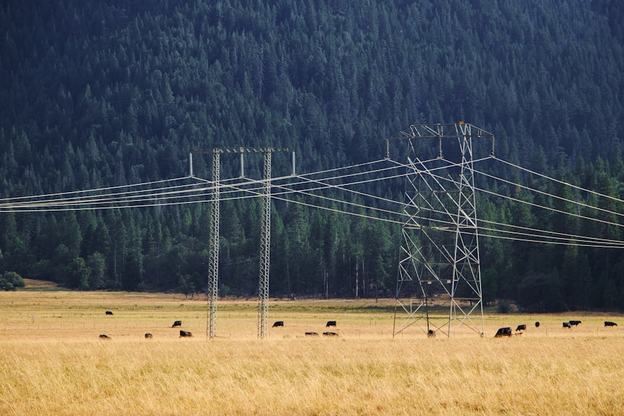 power grid vulnerability