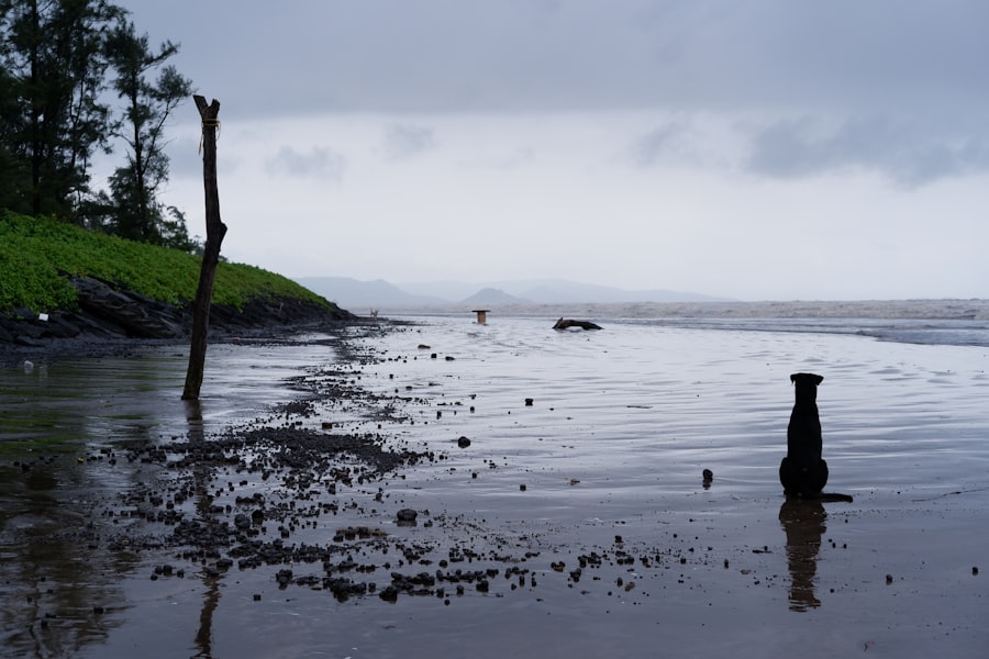 hurricane impact petroleum reserves