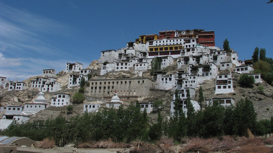 tibet, populated