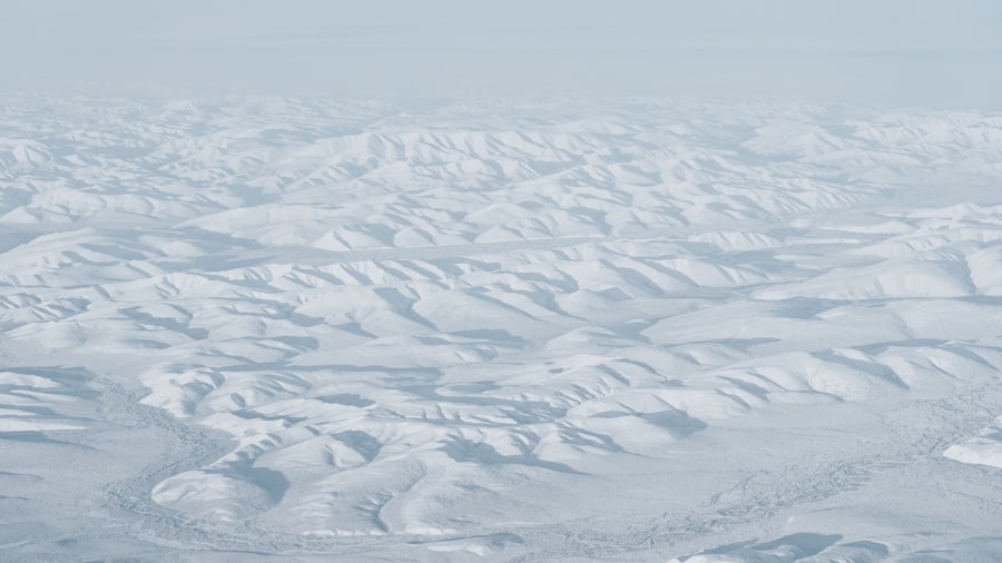 Photo magnetic north pole drift effects