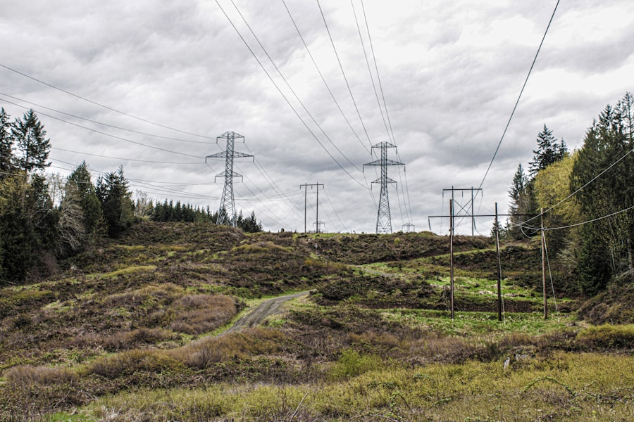 Photo power grid restoration timeline challenges