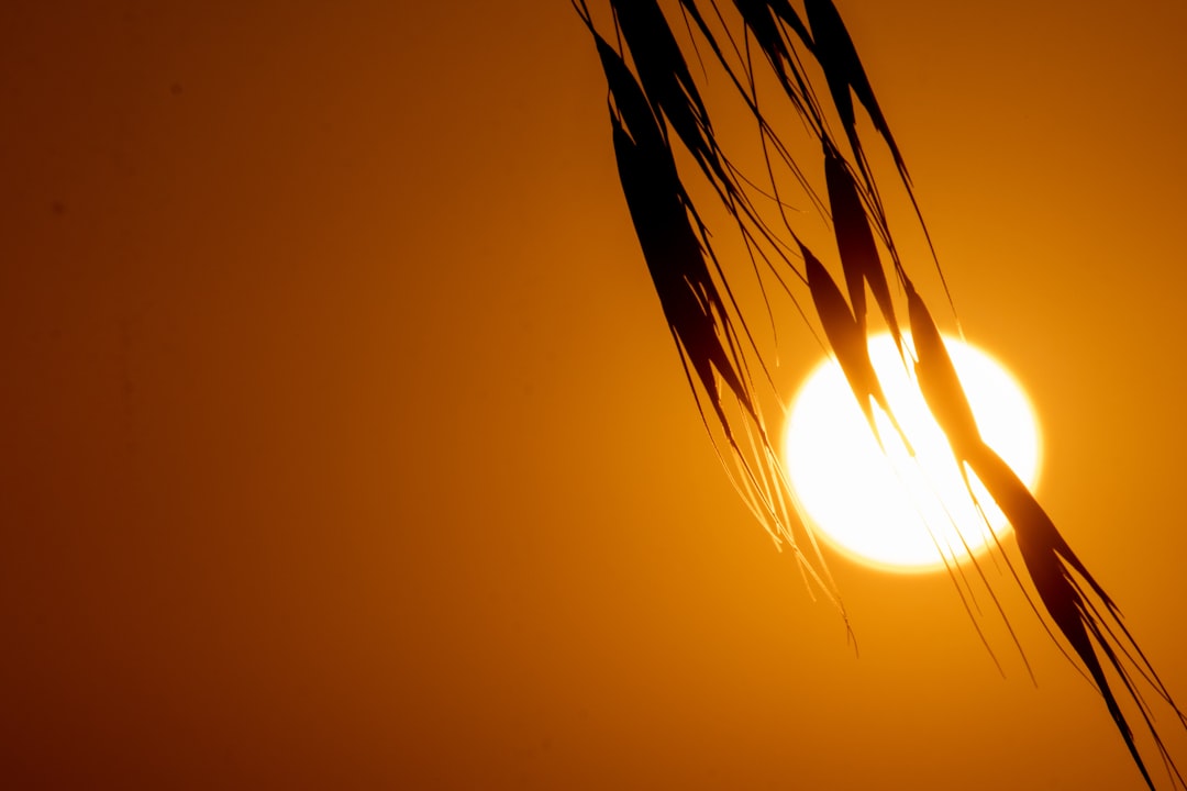 Photo solar flare blackout preparedness