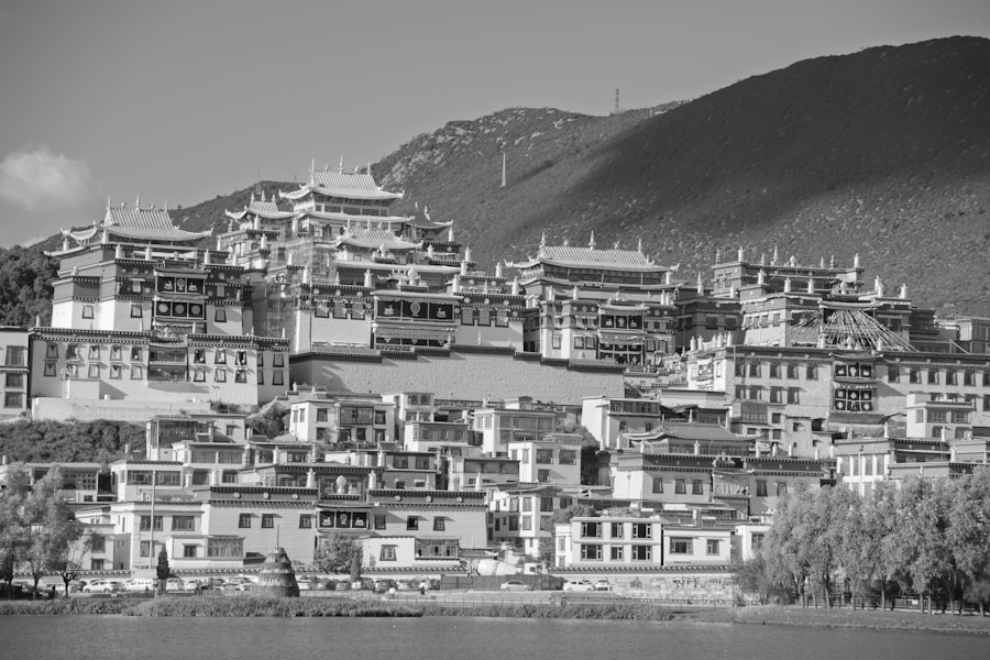 Photo Tibet population shift cities