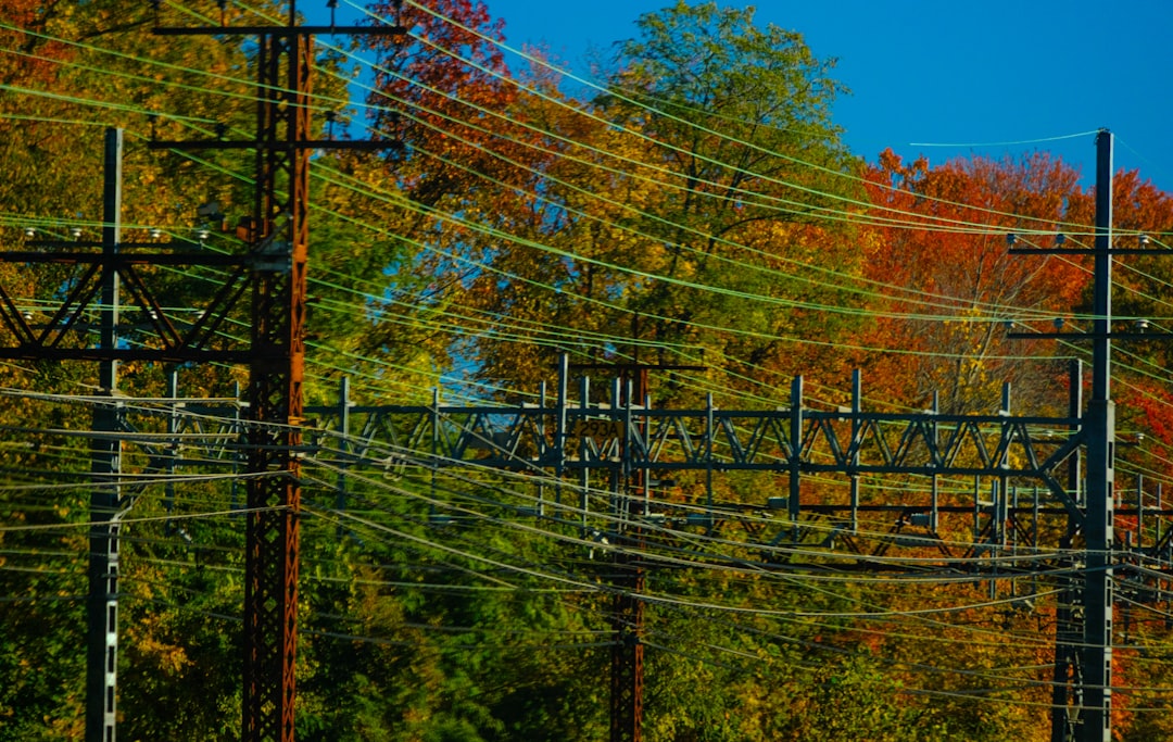 Photo power grid restoration timeline challenges