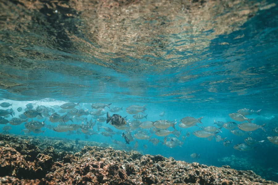 Photo underwater geology