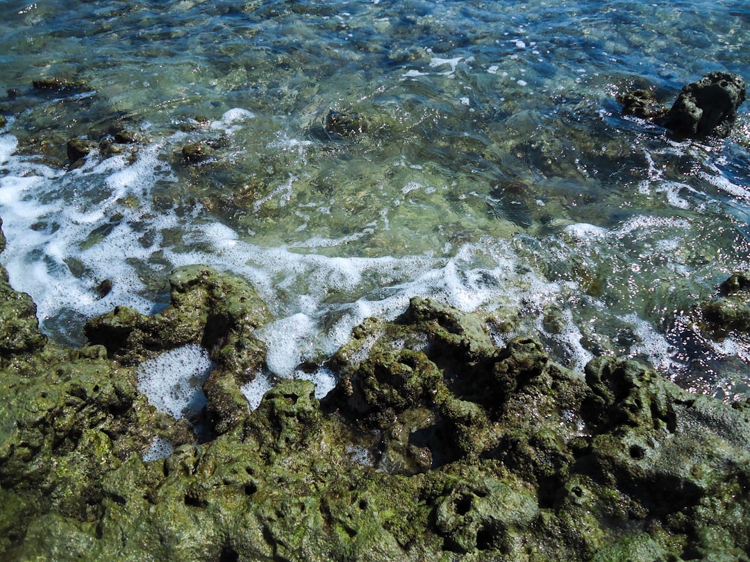 Photo ocean acidification