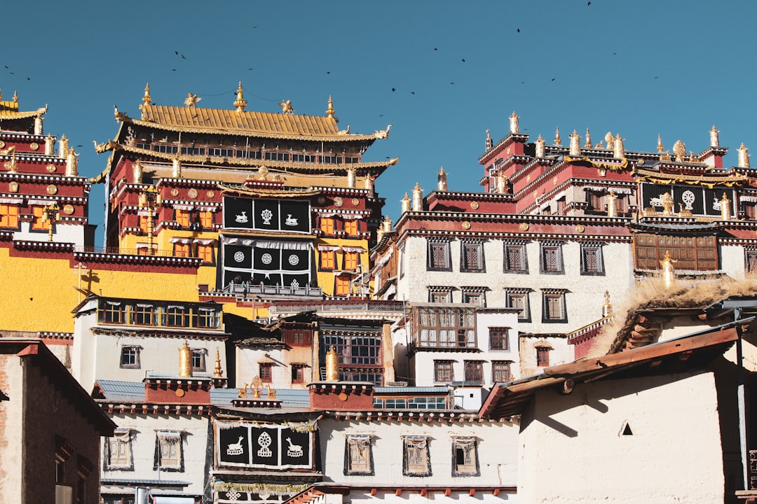 Photo tibet population density map