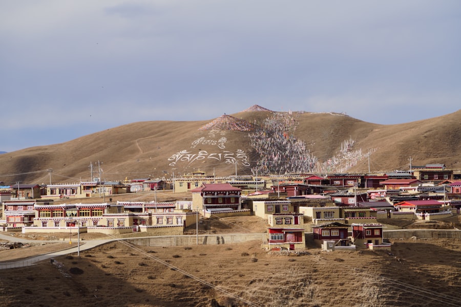 Photo tibet population density map