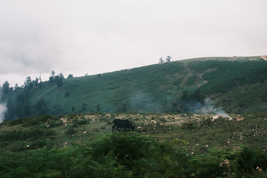 Photo galwan valley clash