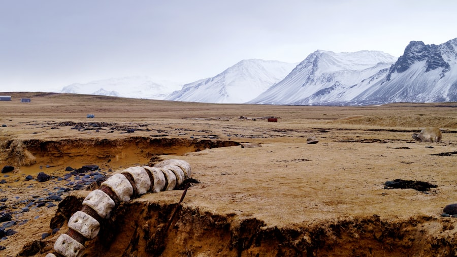 Photo tibet permafrost melting impact