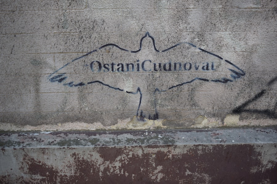 Photo ozarks political culture