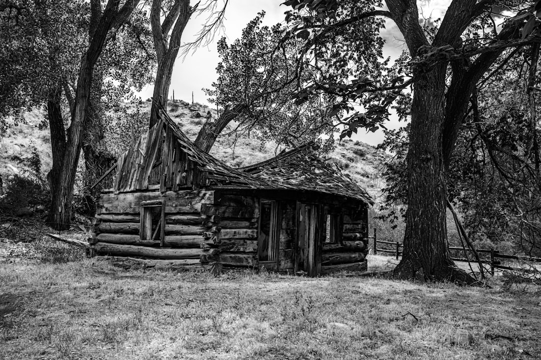 Photo colin woodard american nations