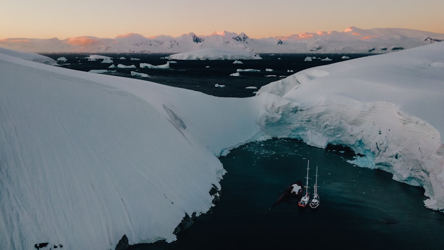 Photo arctic rivalry