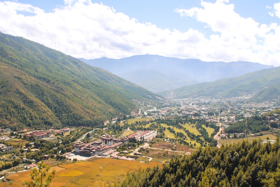 Photo carbon negative