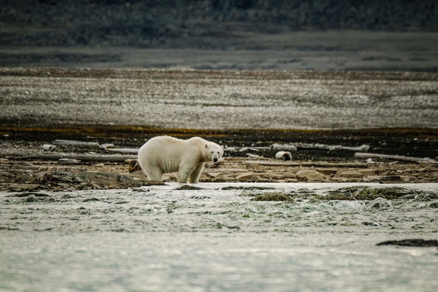 Photo arctic resource exploitation risks
