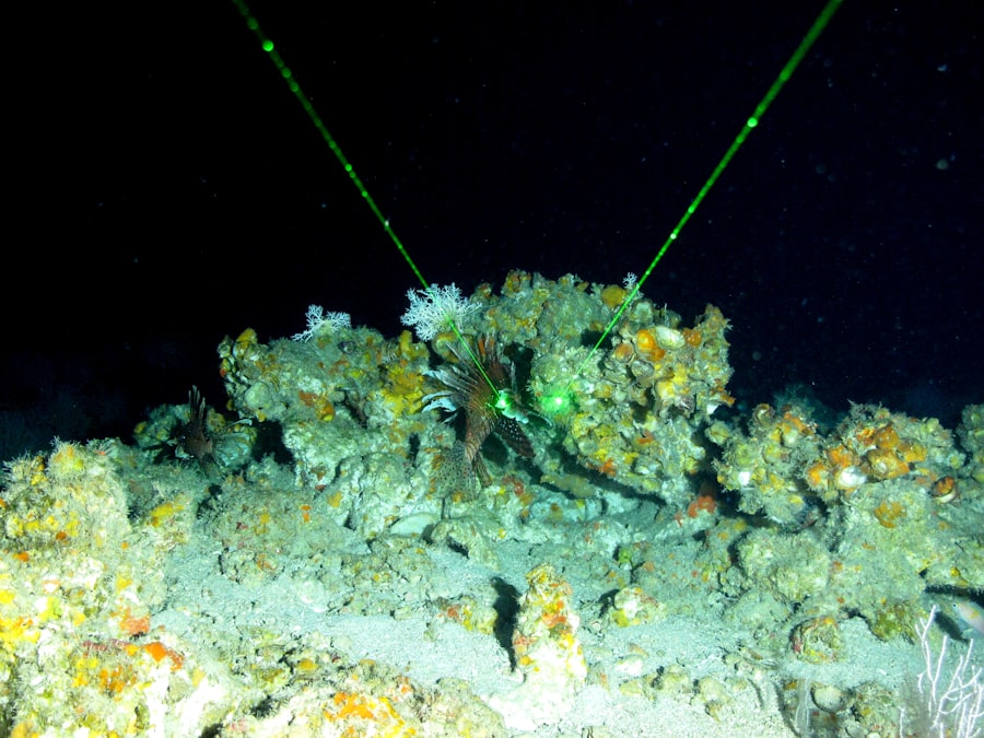 Photo deep sea mining