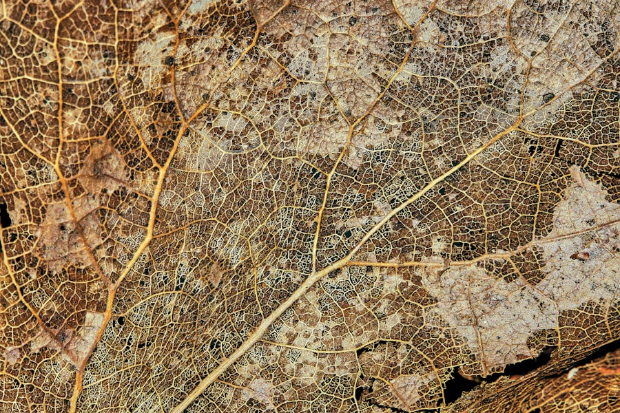 Photo seismic mapping