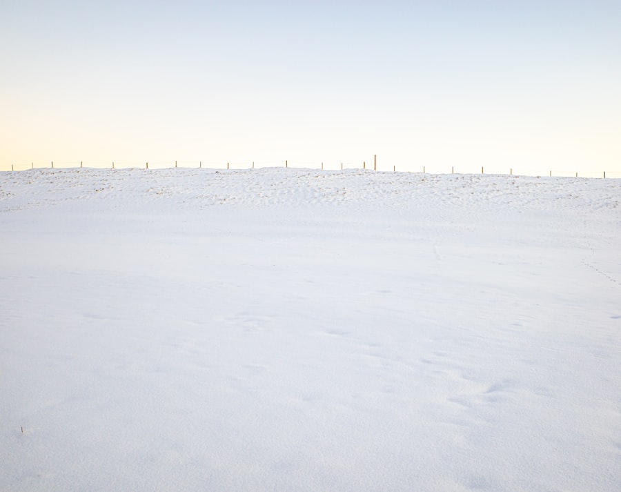 Photo north pole ownership