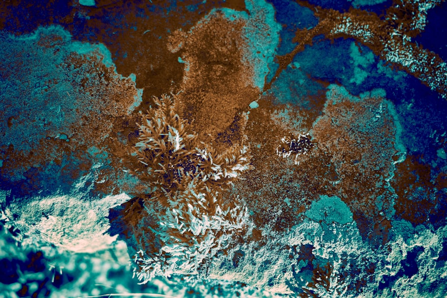 Photo ocean floor mapping