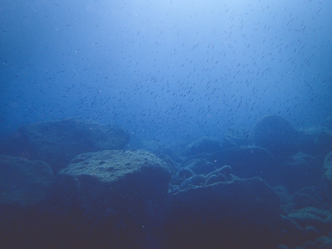 Photo secure deep sea assets