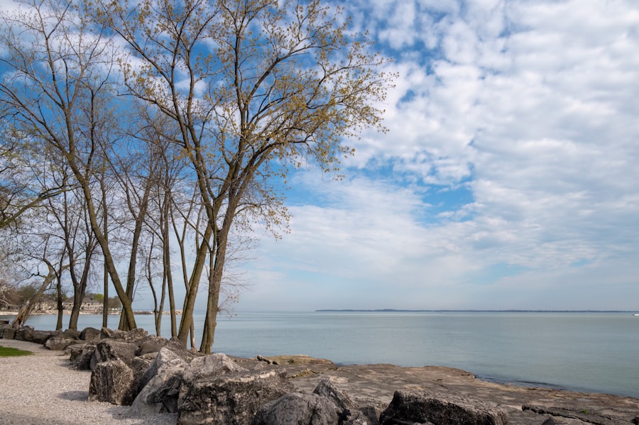 Photo fix great lakes water quality