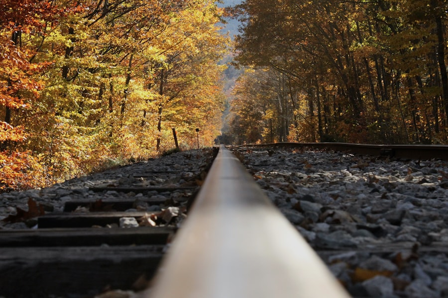 Photo enbridge line five pipeline controversy