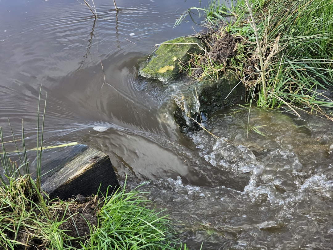 Photo sewer overflow