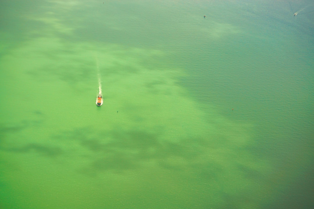 Photo lake erie turning green