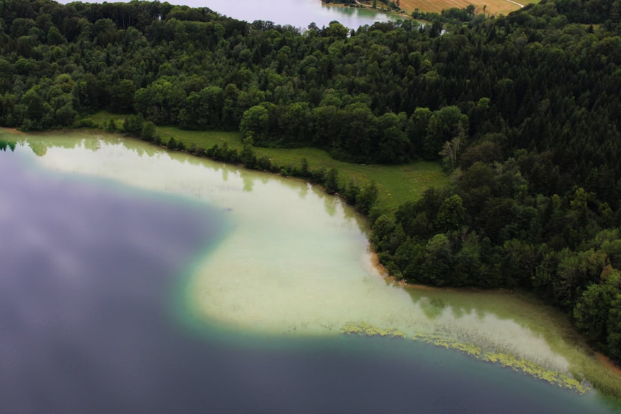 Photo lake erie turning green