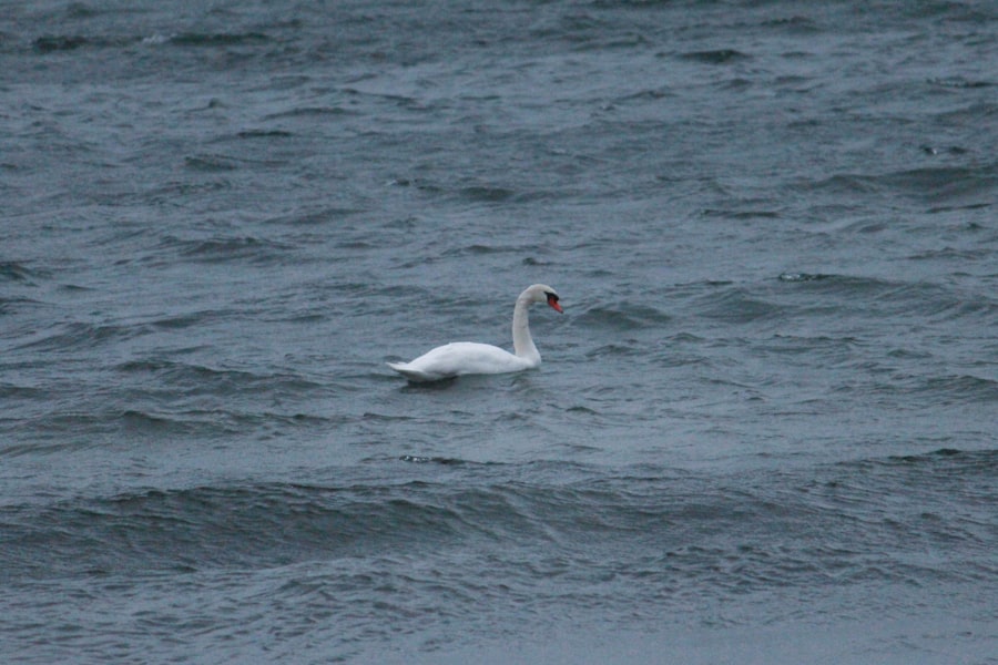Photo great lakes water