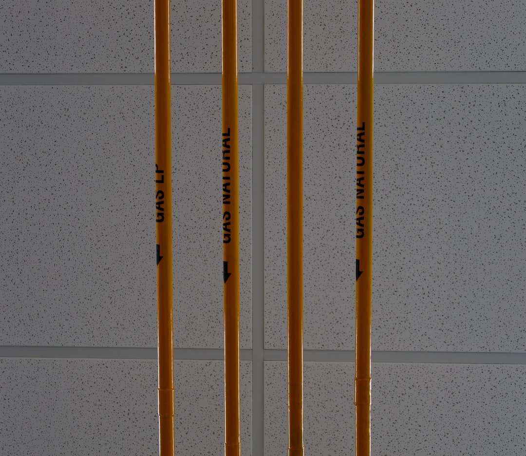 Photo lead service lines