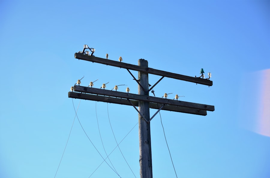 Photo lead service lines