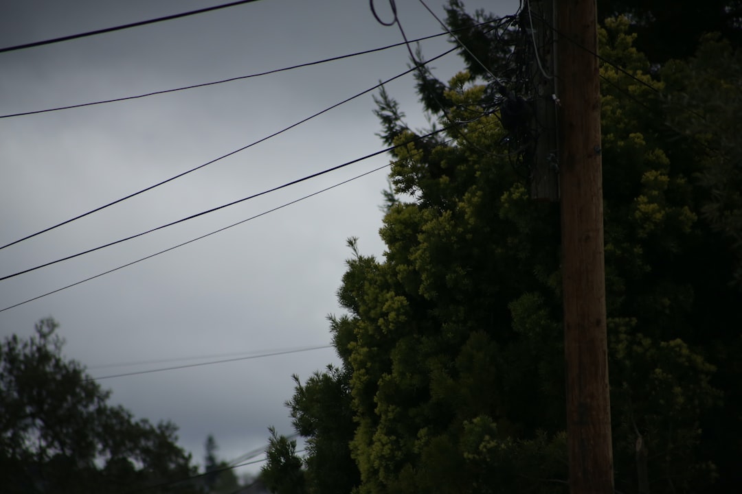 Photo utility strikes