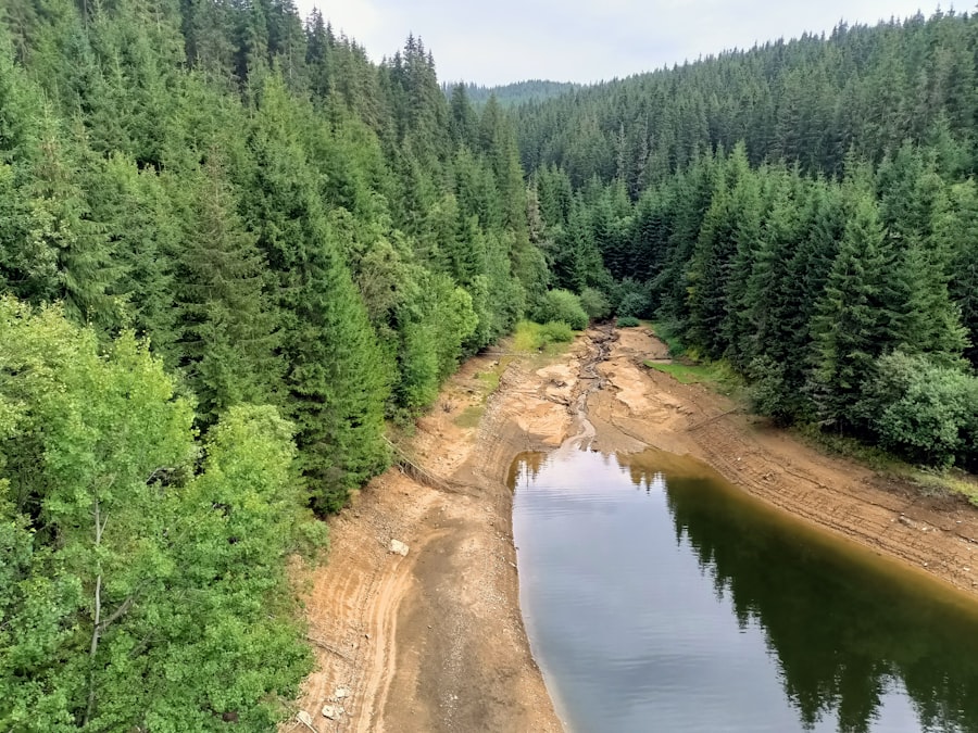 Photo dam inspection reports