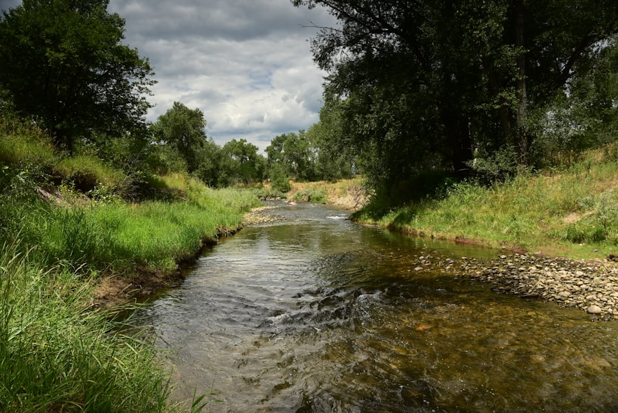 Photo protecting communities downstream