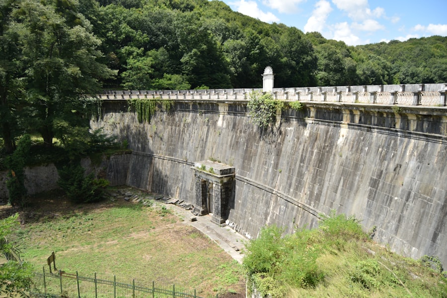 Photo dam removal