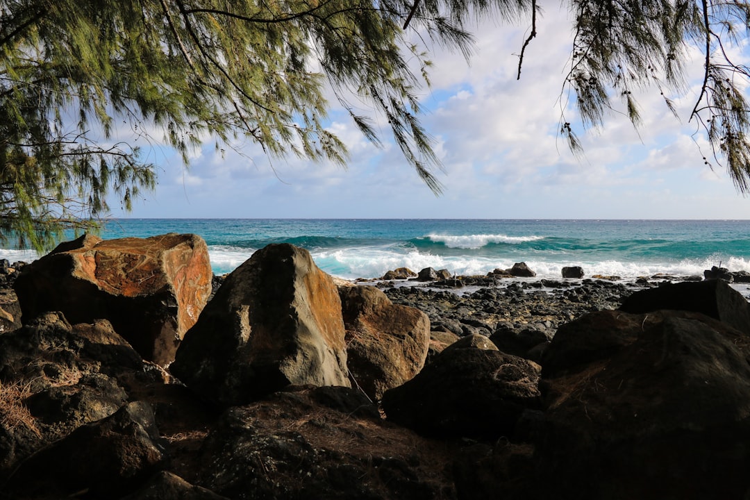 Photo ecological benefits