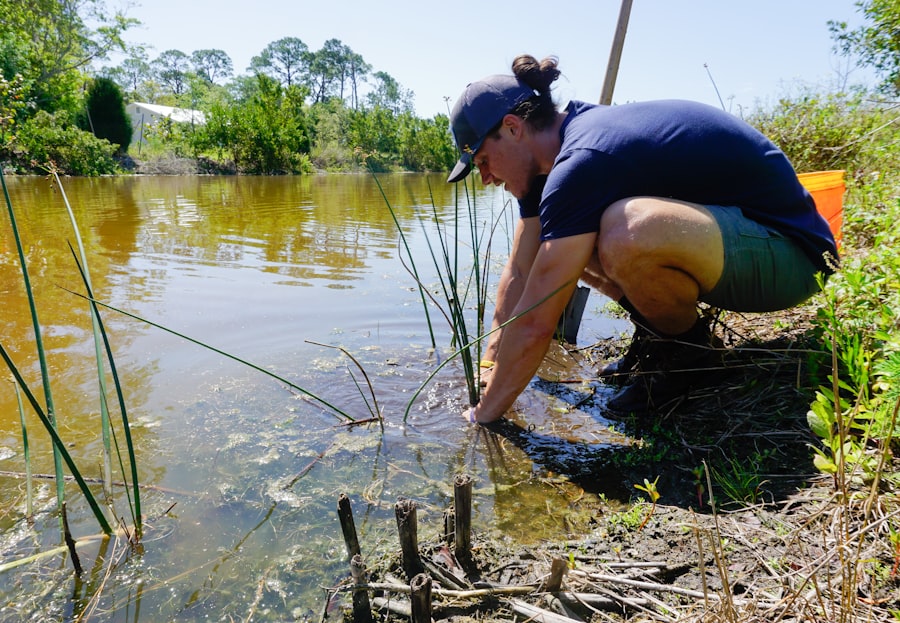 Photo river restoration