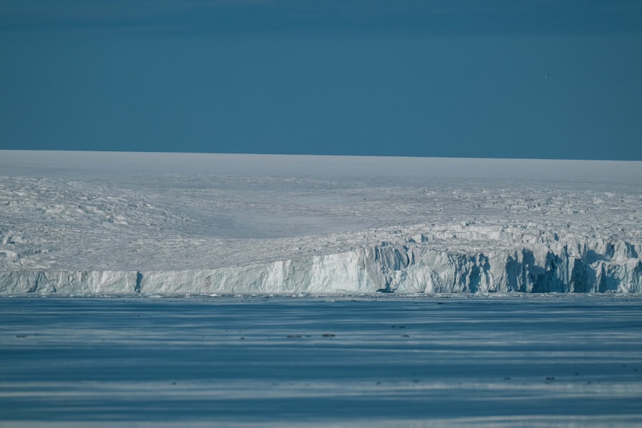 Photo arctic importance