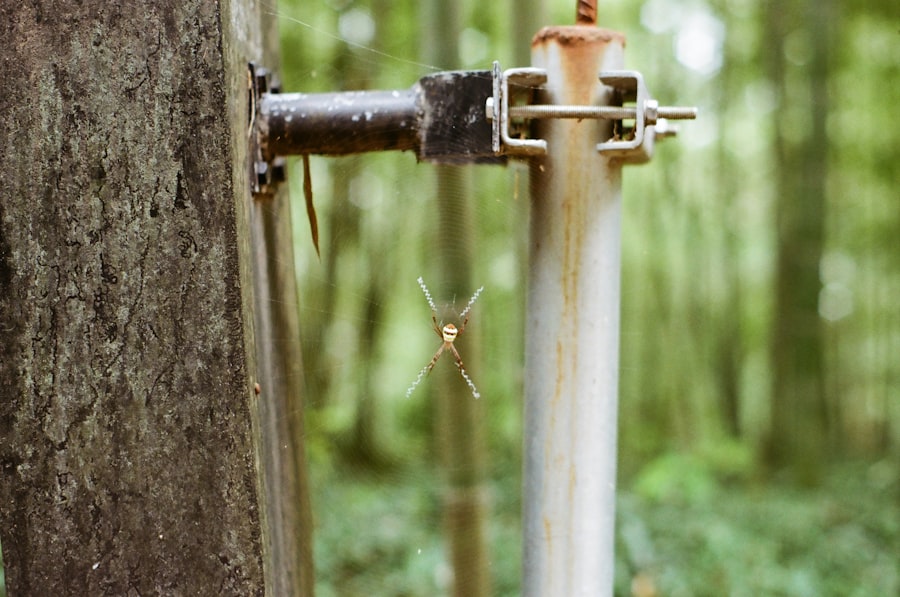 Photo non-revenue water loss